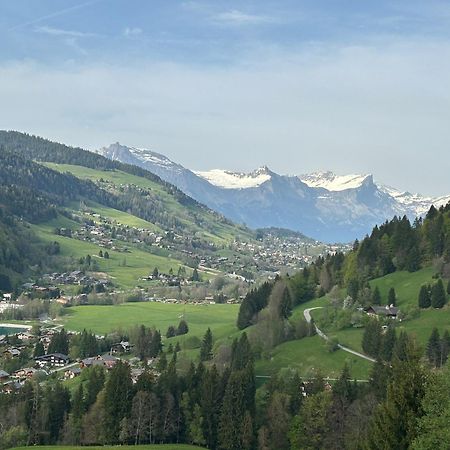 Chalet Saint Victor, Praz Sur Arly Ngoại thất bức ảnh