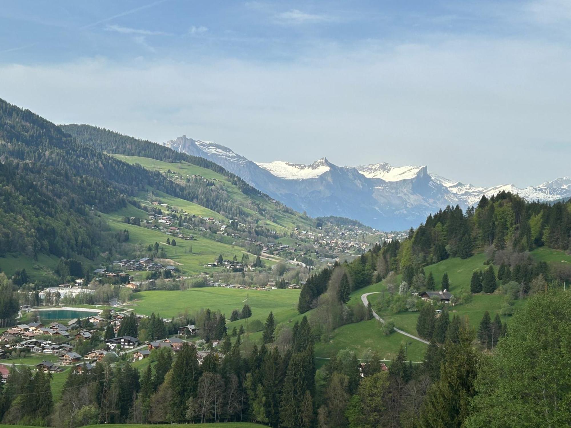 Chalet Saint Victor, Praz Sur Arly Ngoại thất bức ảnh